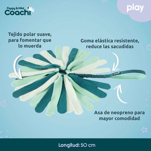 V6H11537CDE37E54777A2B612F0D69C8169R7838619P2